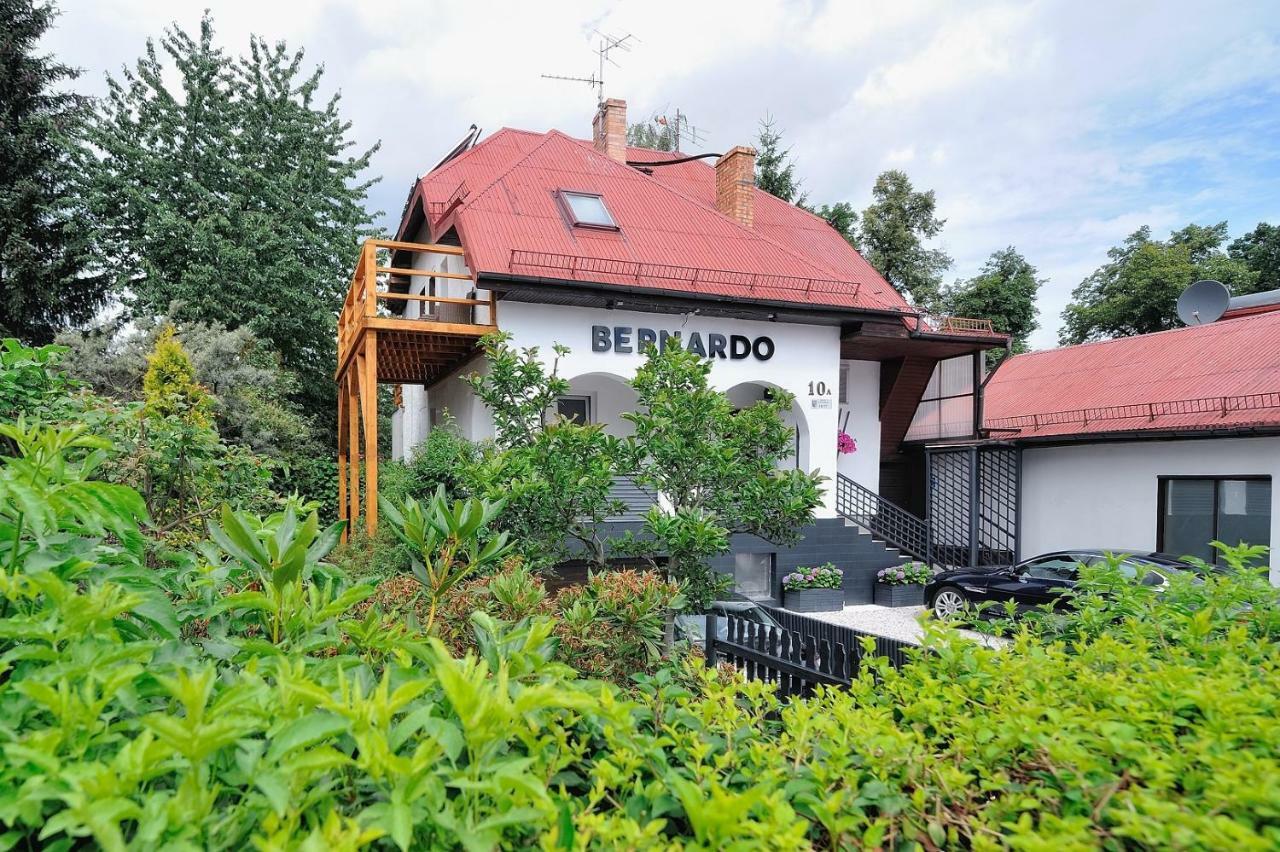 Bernardo